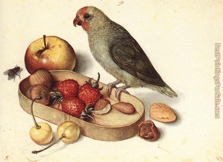 Georg Flegel Paintings for sale